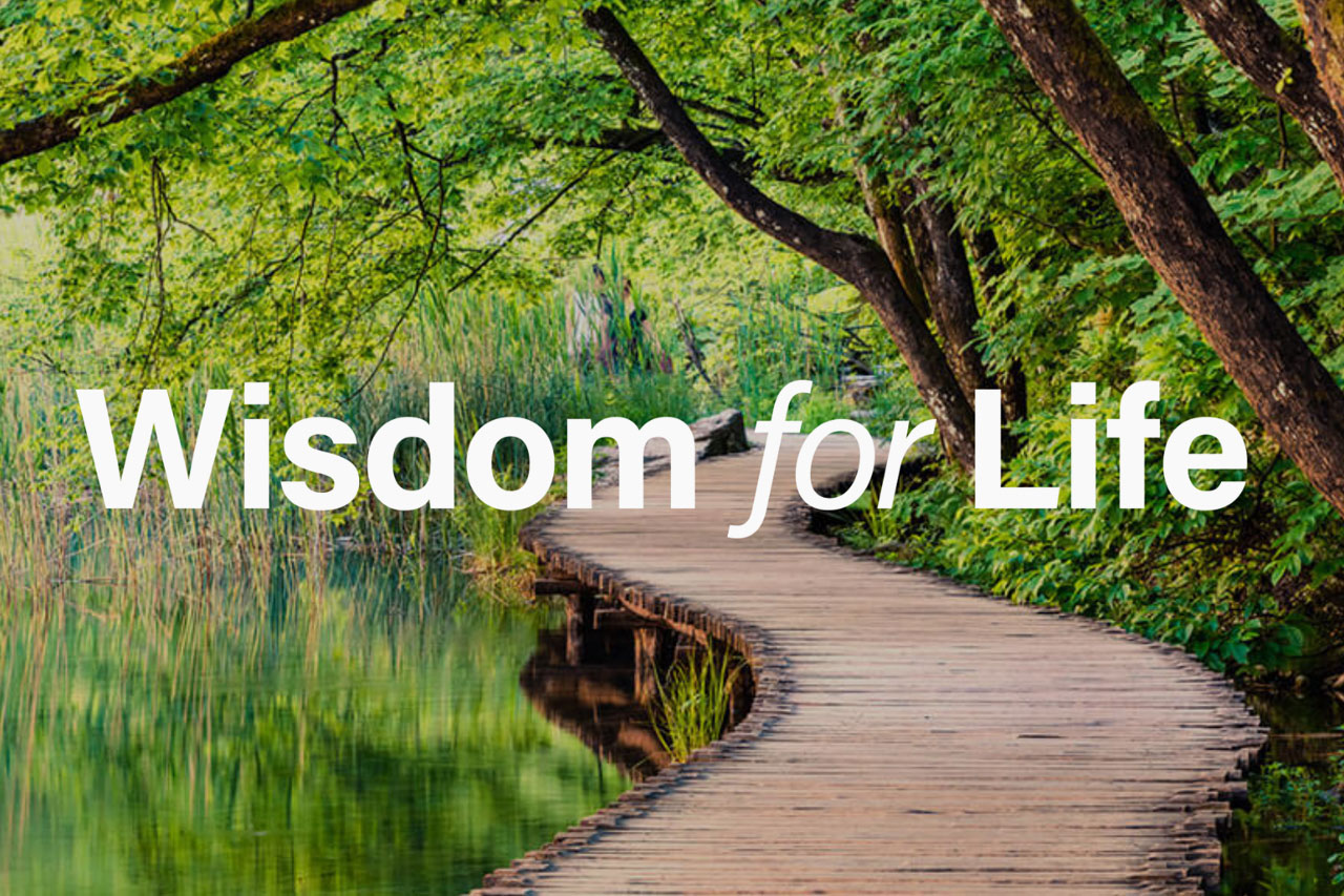 Wisdom Guidance Themes