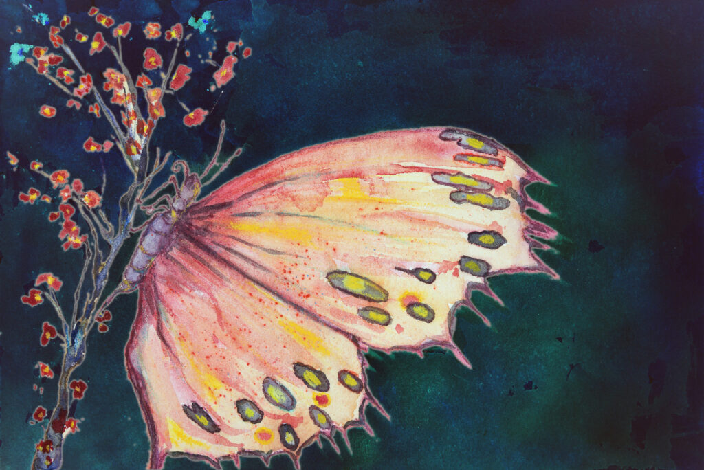 Shamanic Wisdom Guidance | New Creation Butterfly